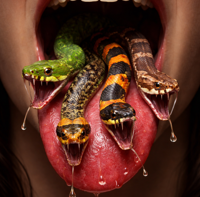 Veninul dintre silabe